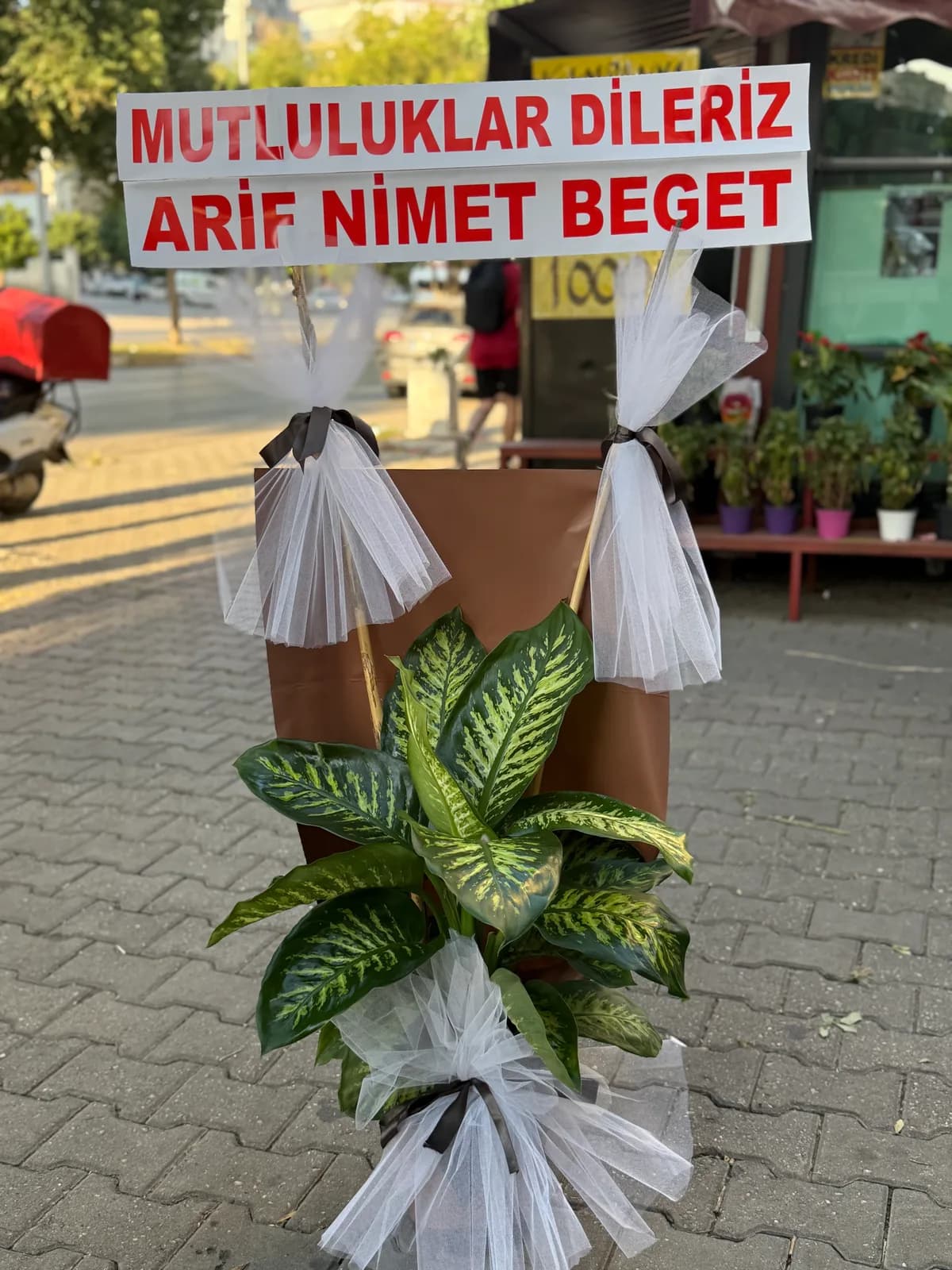 Çiftli Difenbahya