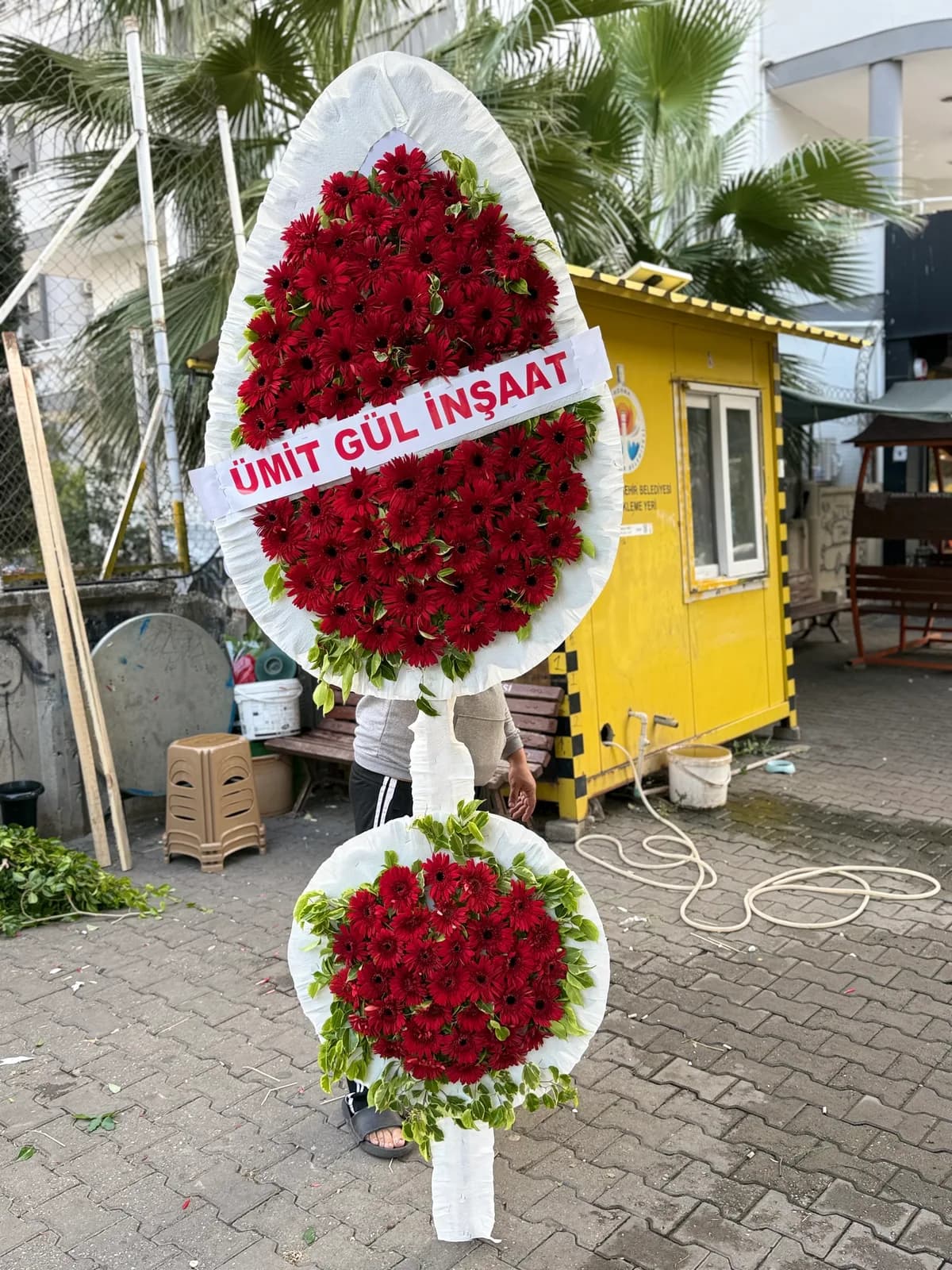 Çiftli çelenk Canlı 