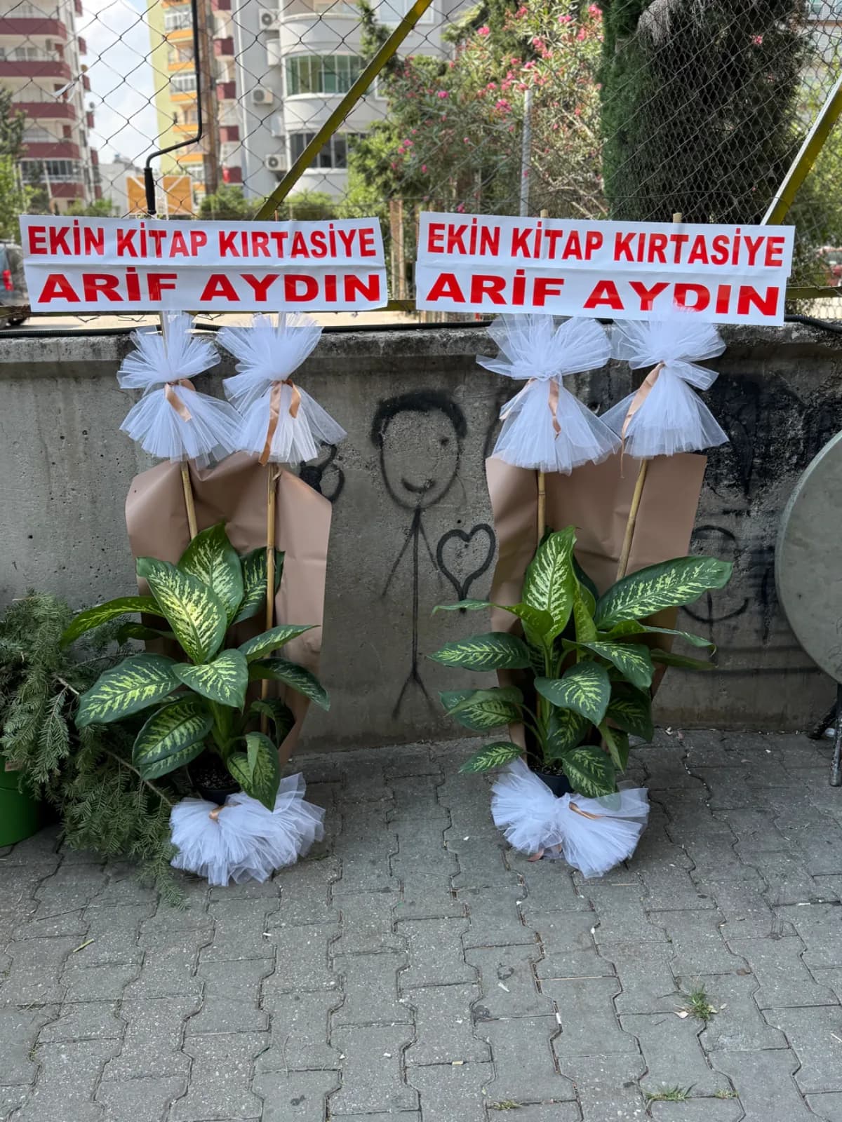 Çiftli DİFENBAHYA