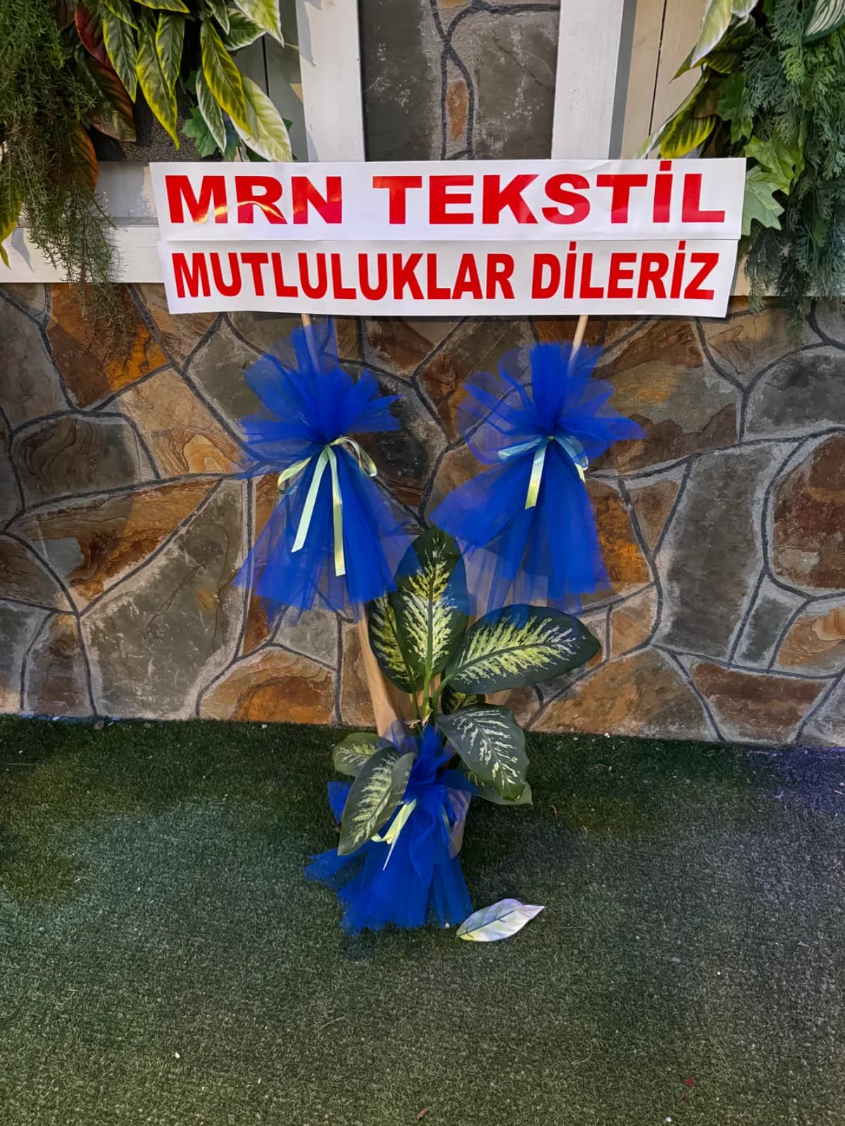 Tekli Difenbahya